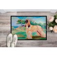 thumbnail image 2 of Carolines Treasures 7138MAT Tapis Intérieur Extérieur 18 x 27 Po. Afghan Hound, 2 of 4