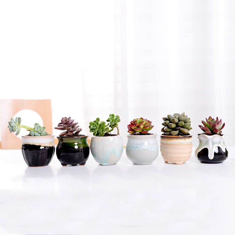 2CFUN 2.5 Inch Ceramic Succulent Flowerpots with Drainage (6 Pack)