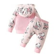 thumbnail image 3 of BULLPIANO Toddler Baby Girl Fall Outfits Long Sleeve Hoodie Sweatshirt Top Sweatpants Set Infant Sweatsuit, 3 of 8