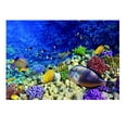 thumbnail image 2 of Cartel de fondo 3D Salvador Decoración de Acuario Vinilo 61x30cm, 2 of 10