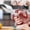 Red, variant on Heavy-Duty Poultry Shears Kitchen Scissors for Meat, Chicken, Seafood & Bone Cutting, Japanese High-Carbon Steel Cooking Scissors with Ergonomic Aluminum Handle, Gold