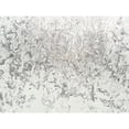 thumbnail image 3 of Bane, Eva 14x12 Black Modern Framed Museum Art Print Titled - Frosty II, 3 of 5