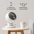 thumbnail image 4 of Woozoo 5-Speed Globe Fan, 4 of 5