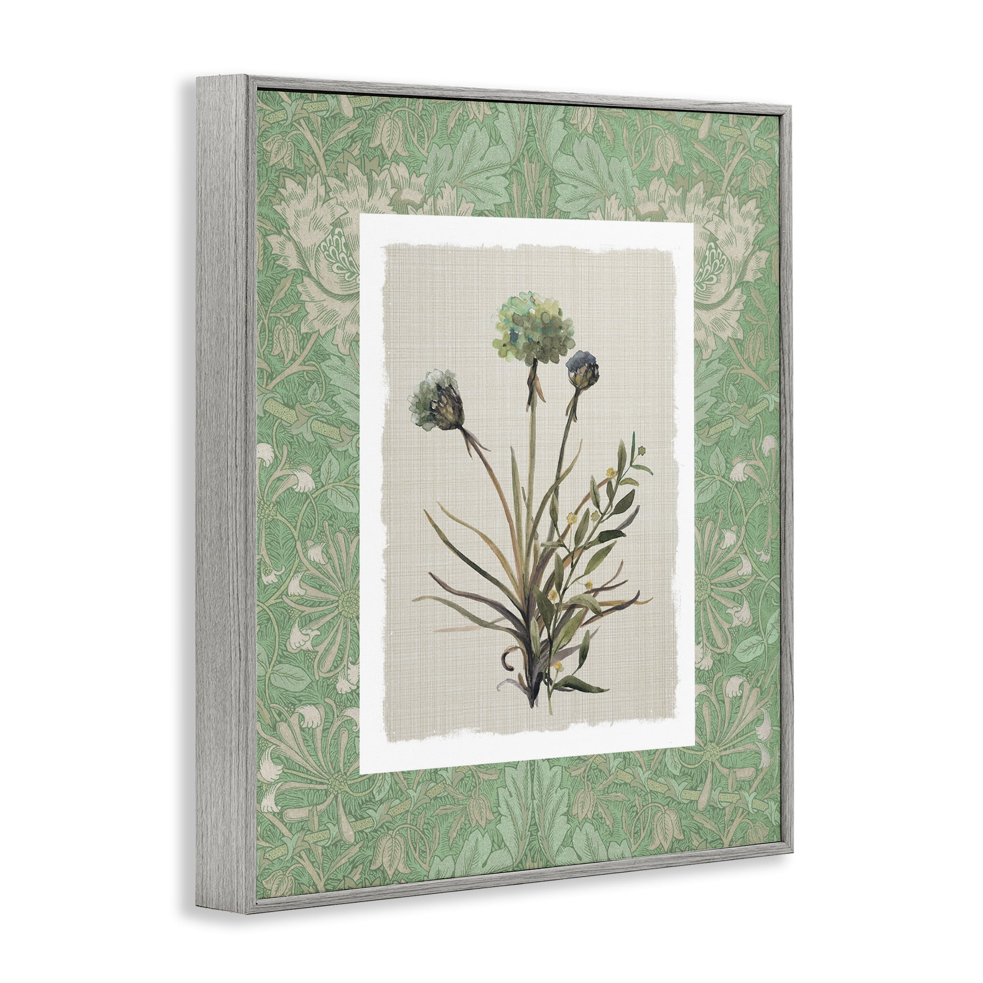 Stupell Industries Vintage Foliage in Green Gray Framed Giclee Art, design by Carol Robinson