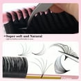 thumbnail image 3 of Qeelasee Easy Fan Lashes 0.03mm Automatic Flowering Bloom Eyelash Extension Two Length Soft Volume Lashes C Curl 14mm, 3 of 7
