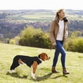 thumbnail image 5 of Dog Leggings Rear Leg Wrap for Warmth and Support for Injured Aging Pets Against Licking Multiple Size Less Discomfort, 5 of 8