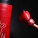 thumbnail image 4 of 2 uds guantes de entrenamiento de boxeo profesional esponja Kickboxing manopla suministros deportivos, 4 of 7
