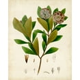 thumbnail image 2 of Vision Studio 26x32 Black Ornate Wood Framed with Double Matting Museum Art Print Titled - Verdant Foliage V, 2 of 4