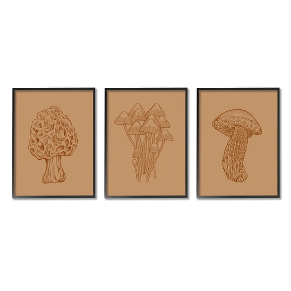 Stupell Industries Natural Cottage Mushroom Botanicals Graphic Art Black Framed Art Print Wall Art, Set of 3, Design by Ziwei Li