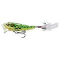 thumbnail image 3 of Frog Popper, 3 of 4