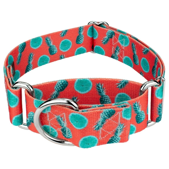 Country Brook Petz® 1 1/2 inch Tropical Tango Martingale Dog Collar, Large