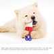 thumbnail image 3 of Simulación Popsicle Dog Chew Toy Multifuncional Pet Cool Down Teeting Toy Dog Stick Para Cepillo De Dientes Para Todo Tipo De Perros Eigraketly PT002543-02, 3 of 6