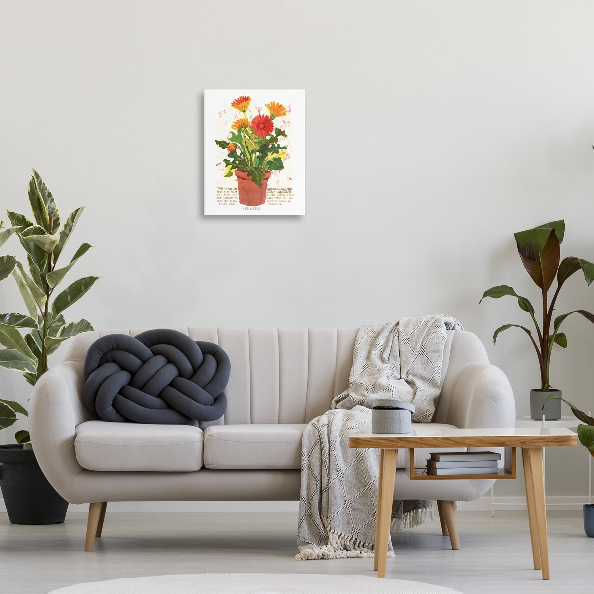 Stupell Industries Potted Gerbera Daisies Botanical & Floral Painting Gallery Wrapped Canvas Art Print Wall Art, 16 x 20