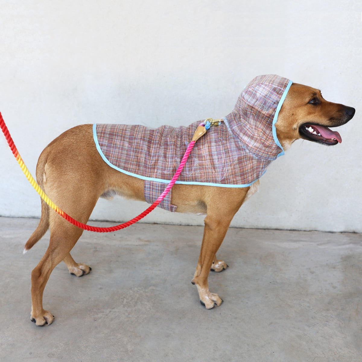 Packed Party Raincoat for Dogs, Grid, XL