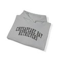 thumbnail image 4 of Chesapeake Bay Retriever Hoodie Gifts Hooded Sweatshirt Pullover Shirt, 4 of 4