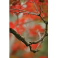 thumbnail image 2 of Geyman, Vitaly 17x24 Black Ornate Wood Framed with Double Matting Museum Art Print Titled - Autumn Tree Dance I, 2 of 4