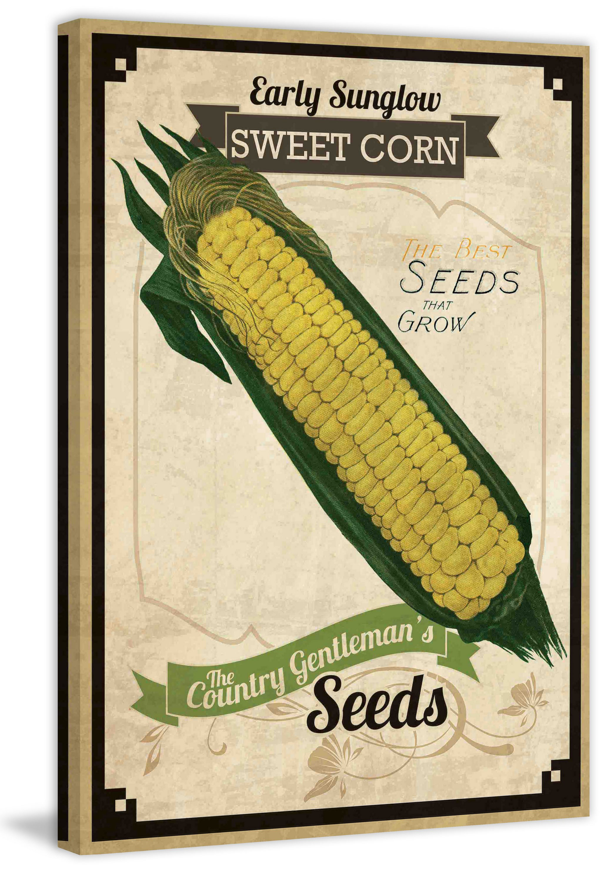 "Seed Packet Corn" Painting Print on Wrapped Canvas