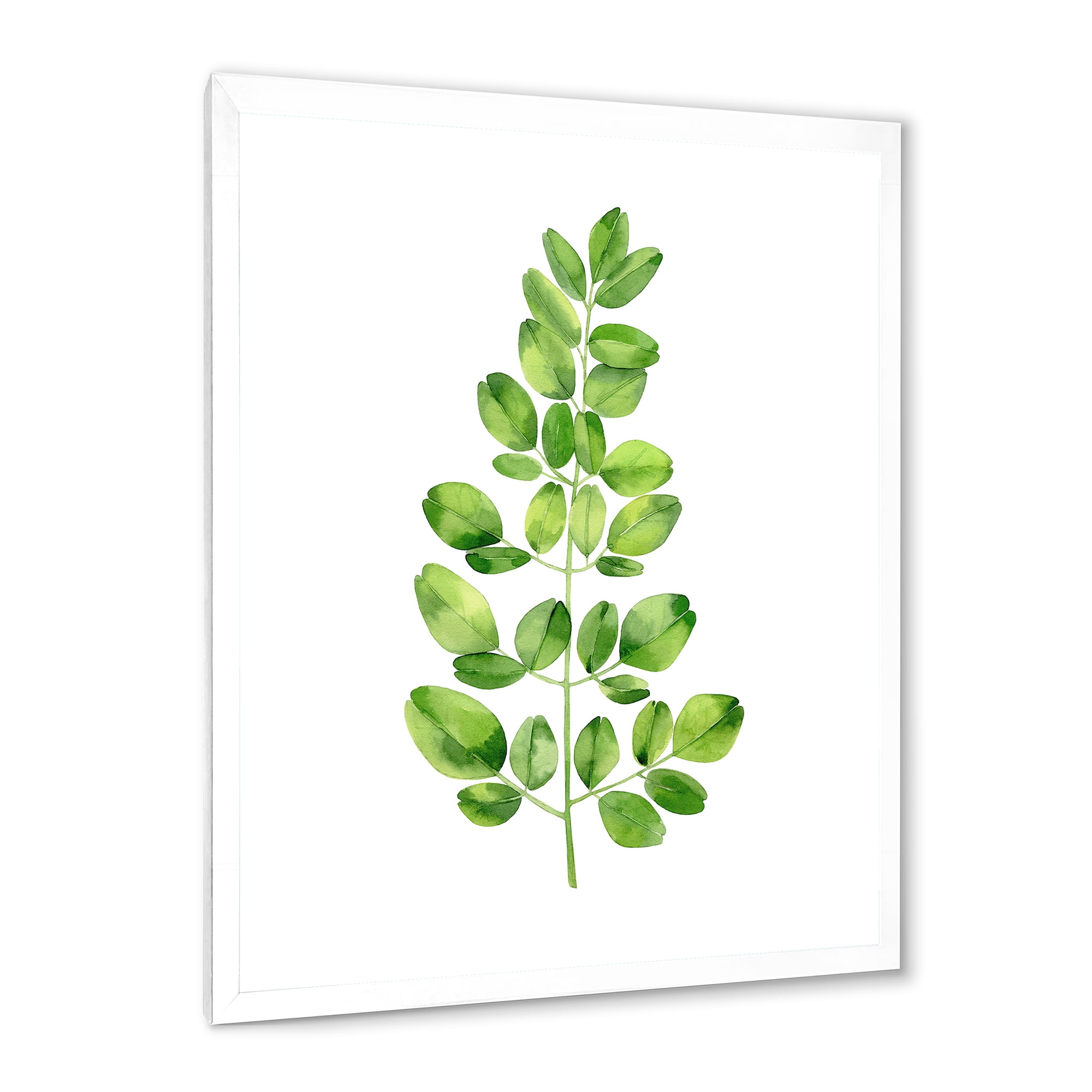 Moringa Plant Branch Tropical Tree Foliage 24 in x 32 in Framed Painting Canvas Art Print, by Designart