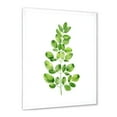 thumbnail image 2 of Moringa Plant Branch Tropical Tree Foliage 30 in x 40 in Framed Painting Canvas Art Print, by Designart, 2 of 4