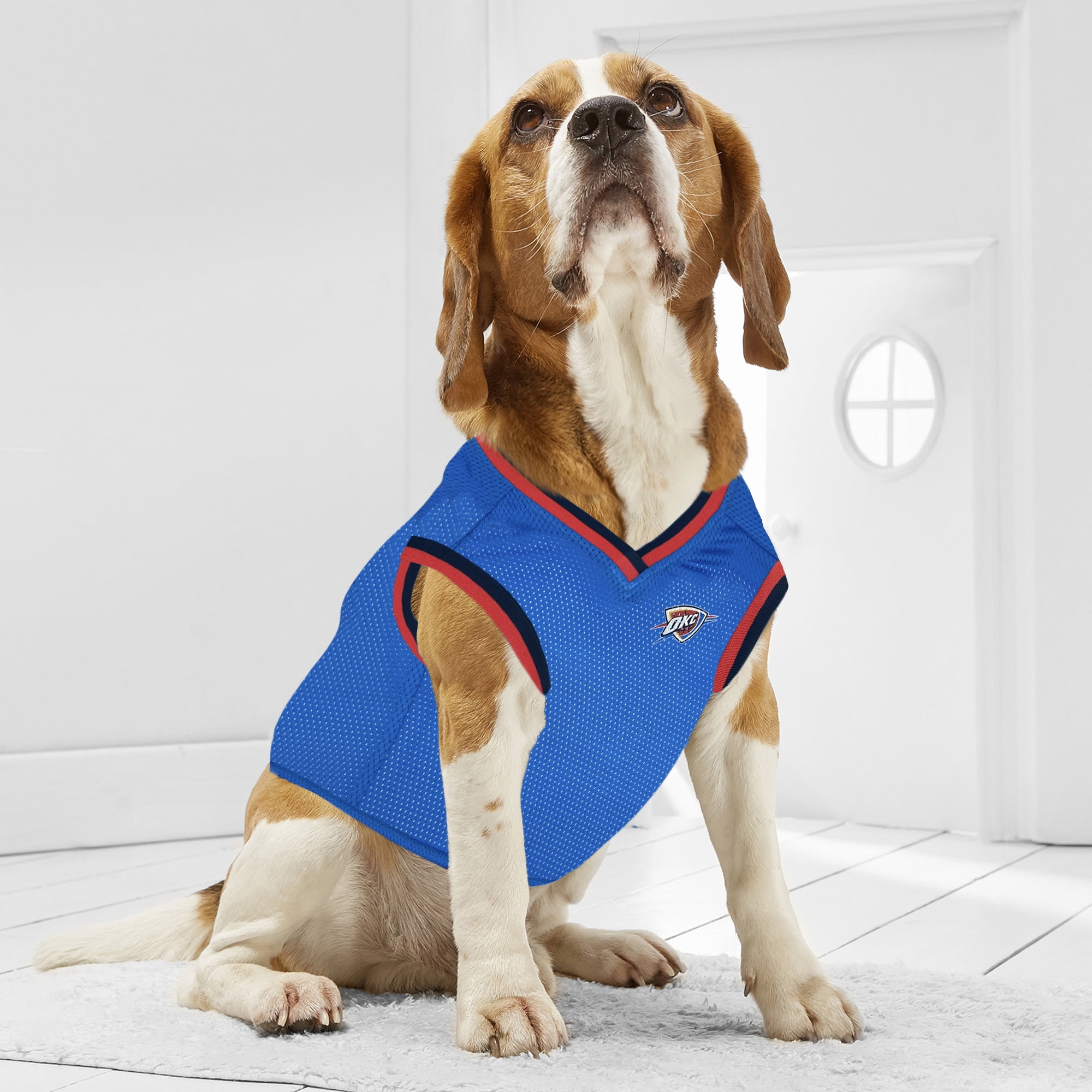 Oklahoma City Thunder Mesh Basketball Dog Jersey