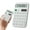 Grey, variant on Miommo 12 Digit Desktop Calculator Solar and Battery Dual Power with Tilt Stand Large LCD Display Basic Function for Office Home Green