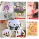 thumbnail image 5 of sweethay Flores prensadas de flores secas, hermosa pintura de pared, accesorios de bricolaje, suministros para álbumes de recortes, artículos flor amarilla anaranjada 5Conjunto, 5 of 6