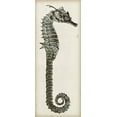 thumbnail image 2 of Vision Studio 8x14 White Modern Wood Framed Museum Art Print Titled - Vintage Seahorse II, 2 of 4