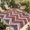 Red, variant on Indoor Outdoor Area Rugs,Nordic Wave Chevron Twill Lines Patio Rug Non-slip Quick Dry Camping Rugs,Retro Geometric Colorful Stripes Floor Carpet for Porch Deck Backyard Decor,4x6ft