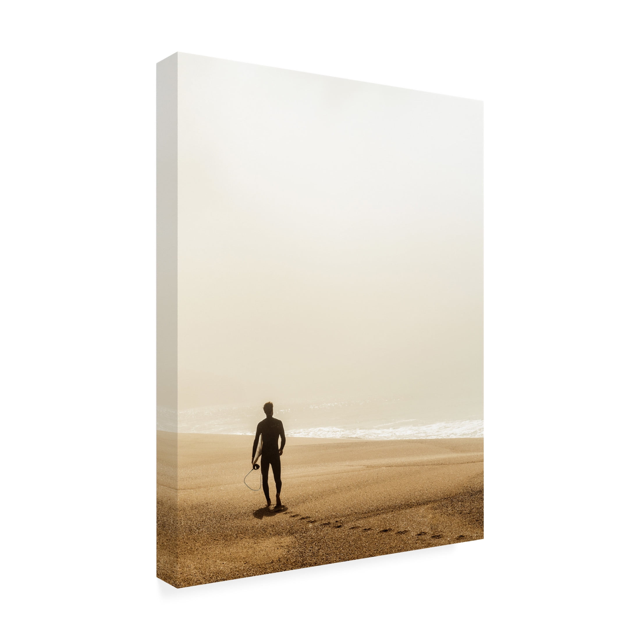 Trademark Fine Art Dieter Reichelt Looking For The Surf Canvas Wall Art