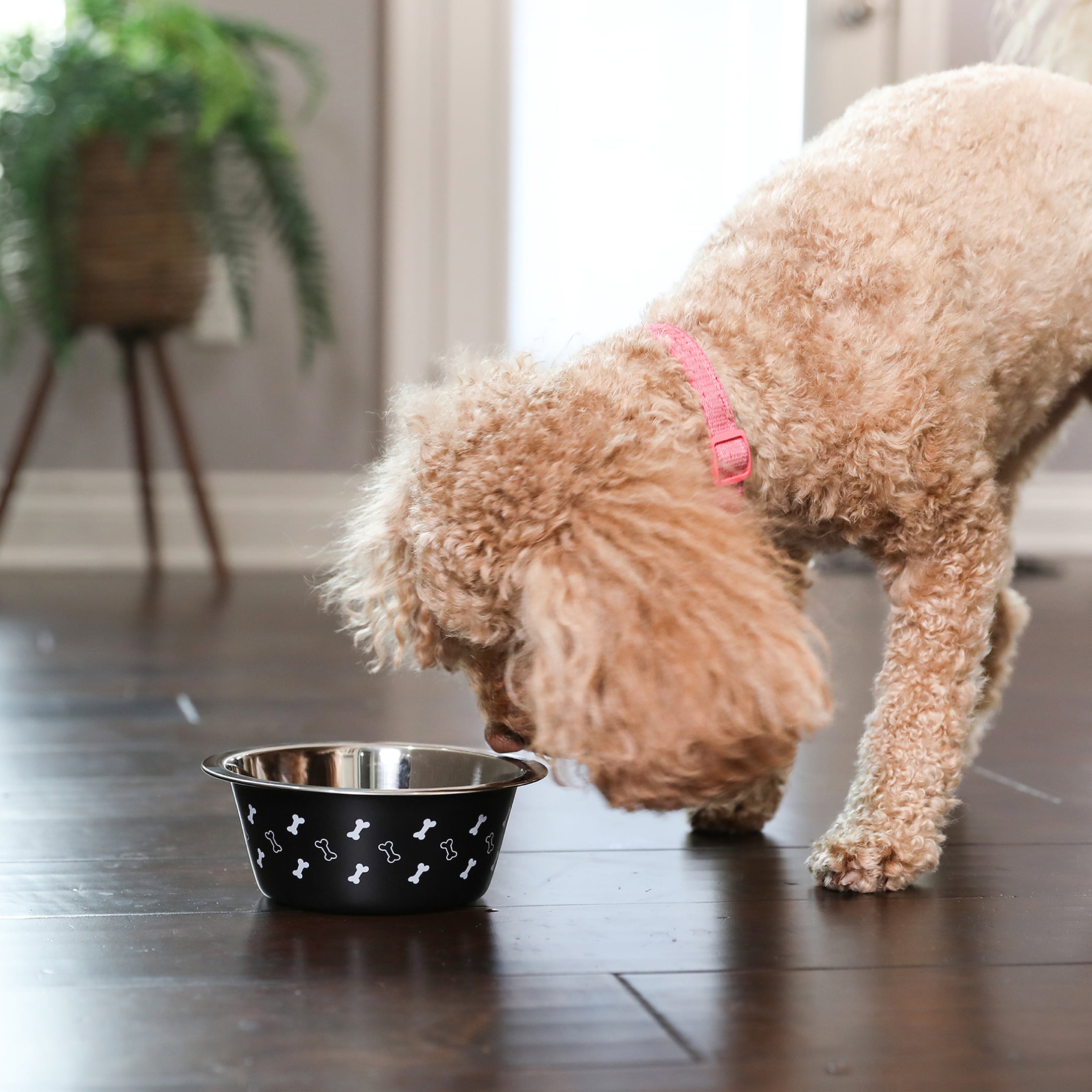 (4 pack) Vibrant Life Medium Stainless Steel Dog Bowl, Black with Bones, 25.75 fl oz