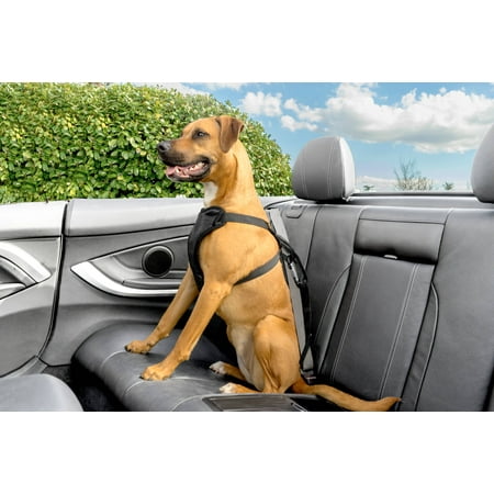 Premier Pet Car Safety Tether - Keeps Your Dog Secure in Any Vehicle - Integrates With Vehicle's Seat Belt System and Attaches to Any Pet
