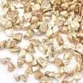 thumbnail image 2 of FGB Plated Glass Seed Beads For Nail Art Decoration Accessories No Hole/Undrilled Chips Wheat 2.0~5.0mm about 450g/bag, 2 of 2