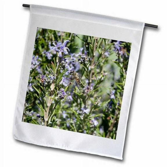 3dRose, Honey Bee on Rosemary Blossom - bee, blossom, flower, honey bee, honeybee, insect, rosemary, 12 x 18 inch Garden Flag