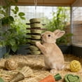 thumbnail image 5 of WLGJL 18 PCS Bunny Chew Toys for Teeth, Natural Rabbit Toys Apple Wood Grass timothy Sticks Chew and Treat for Guinea Pigs Hamster Chinchillas, 5 of 7