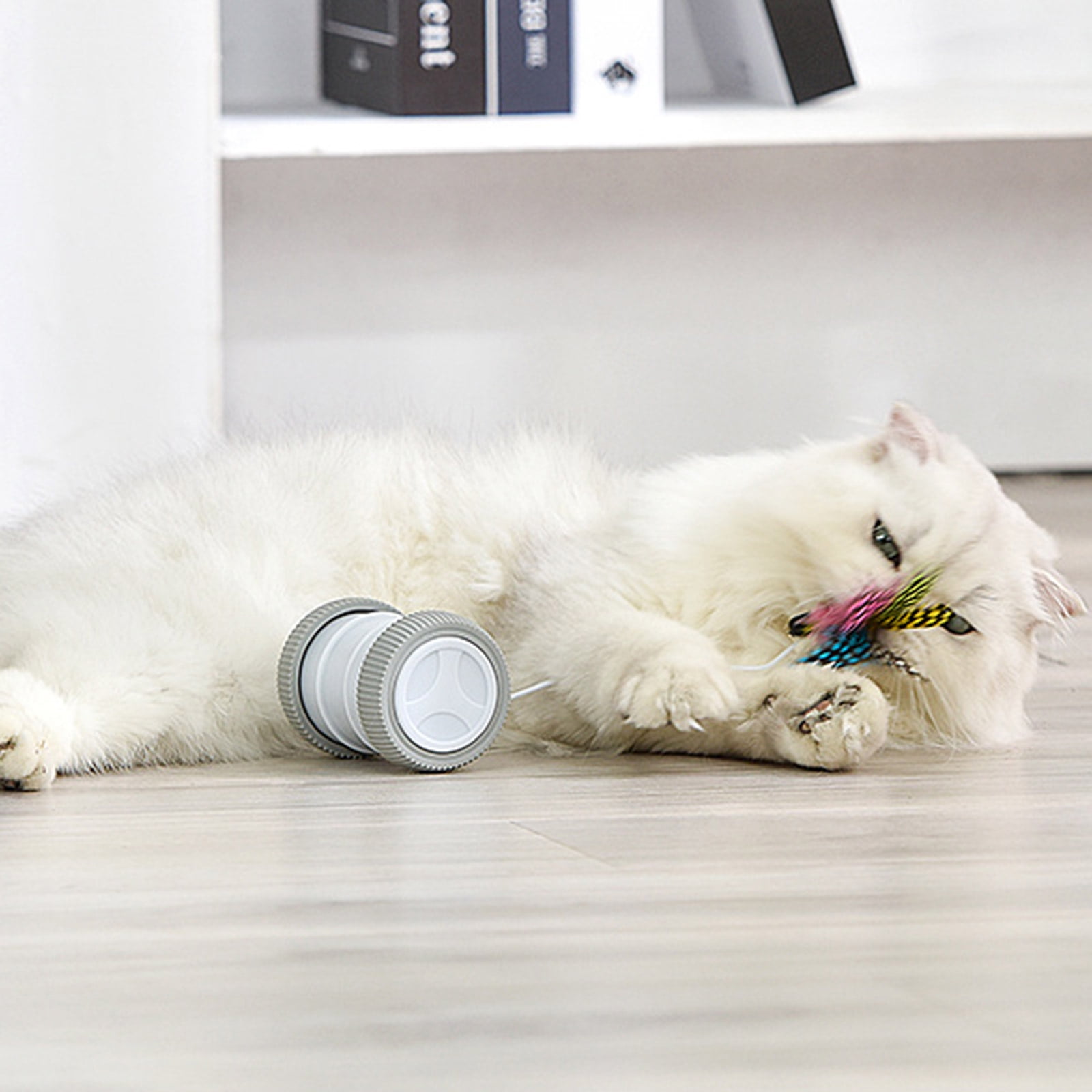 lanema Interactive for Cat Toy Automatic Roller with Feather for Kitten Hunting Simulat