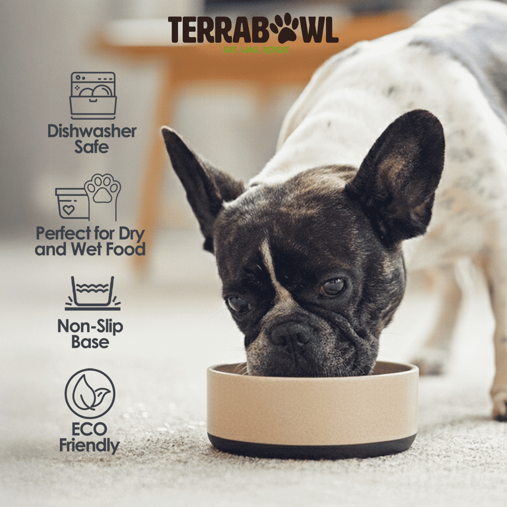 TerraBowl 48 oz. Eco-Friendly, Non-slip Pet Bowl with Lid for Dogs and Cats