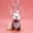 5.9in/15cm, variant on Cute Elastic Pocket Shell Sea Otter Stuffed Animal Soft Cuddy Otter Plush Toy Pendant Birthday Gifts