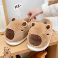 thumbnail image 4 of Zapatillas de dibujos animados de felpa, zapatillas con punta cerrada, zapatillas mullidas para parejas, zapatillas antideslizantes de animales peludos para hombres y mujeres, 4 of 5