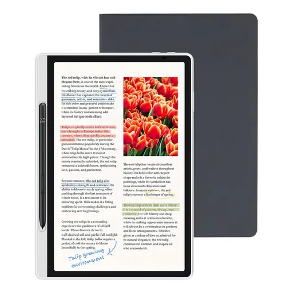 XPPen Magic Note Pad: Tablet Android 14+Lectores de Libros Electrónicos+Cuaderno Digital, 10.95 Pulgadas 6GB+128GB WiFi Android 8000mAh Tableta de Papel Original/Tinta/Color con 16K Lápiz sin Carga