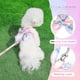 thumbnail image 2 of Arnés y correa para perro con lazo, elegante arnés para cachorro con degradado de arcoíris, antitirones, de malla suave, para mascotas, gatos y perros, talla XS-Azul, 2 of 4