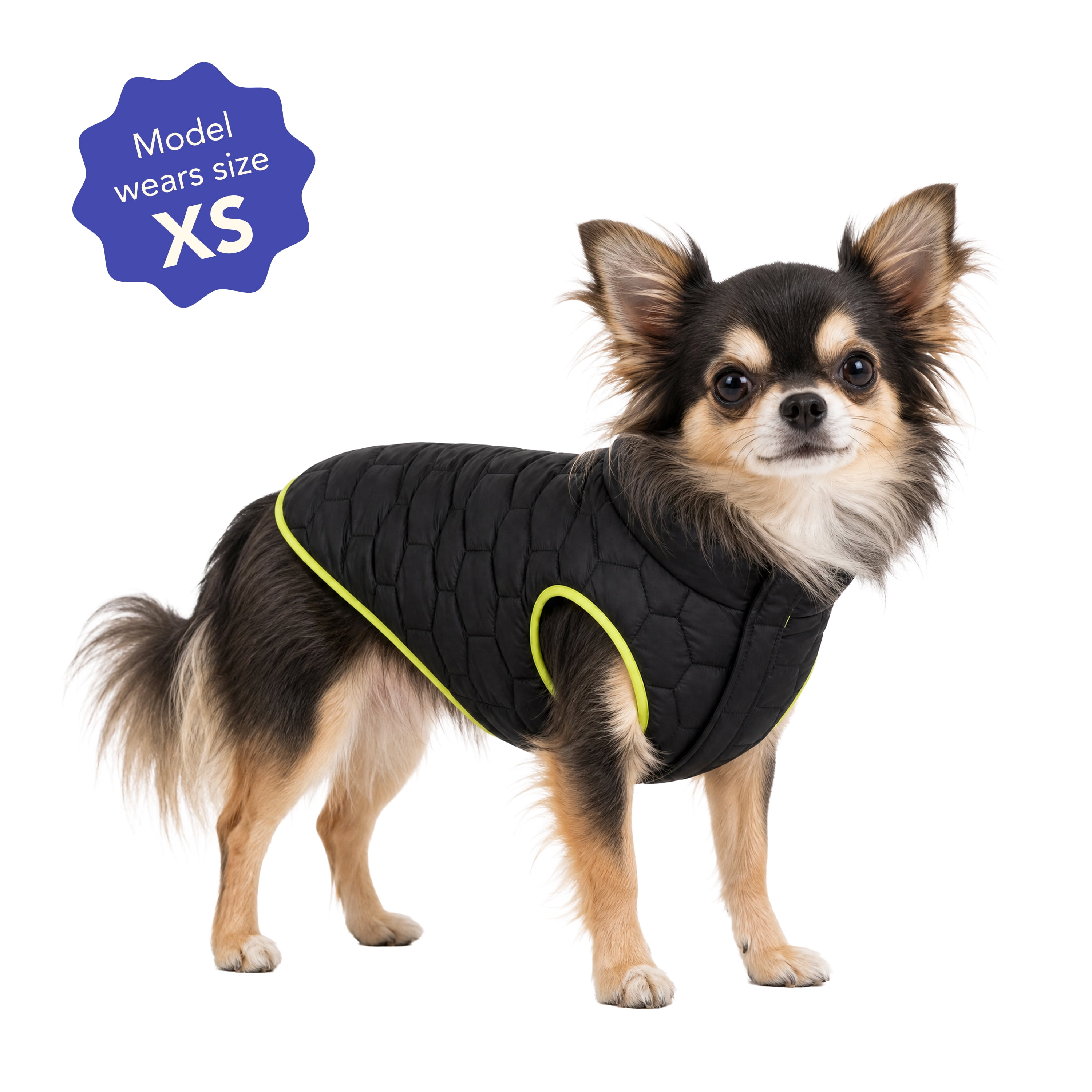 Oodles Quilted Fall Puffer Dog Jacket, Black, XS