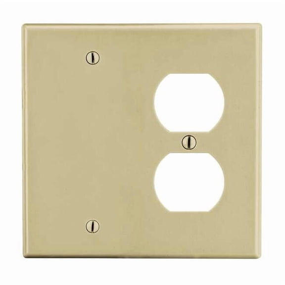 Duplex/Blank Wall Plate, Number of Gangs: 2 Plastic, Satin Finish, Ivory
