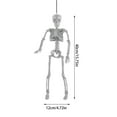 thumbnail image 3 of Full Body Poseable Halloween Skeleton Decor - 15.7" Realistic Hanging Skeleton with Movable Joints for Yard, Patio & Haunted House Party Decoration, 3 of 7