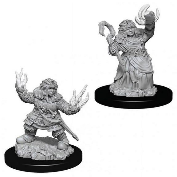 Pathfinder Battles Deep Cuts Unpainted Miniatures: Female Dwarf Summoner