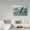 thumbnail image 3 of Trademark Fine Art 'Soaring Eagle' Canvas Art by Wilhelm Goebel, 3 of 3