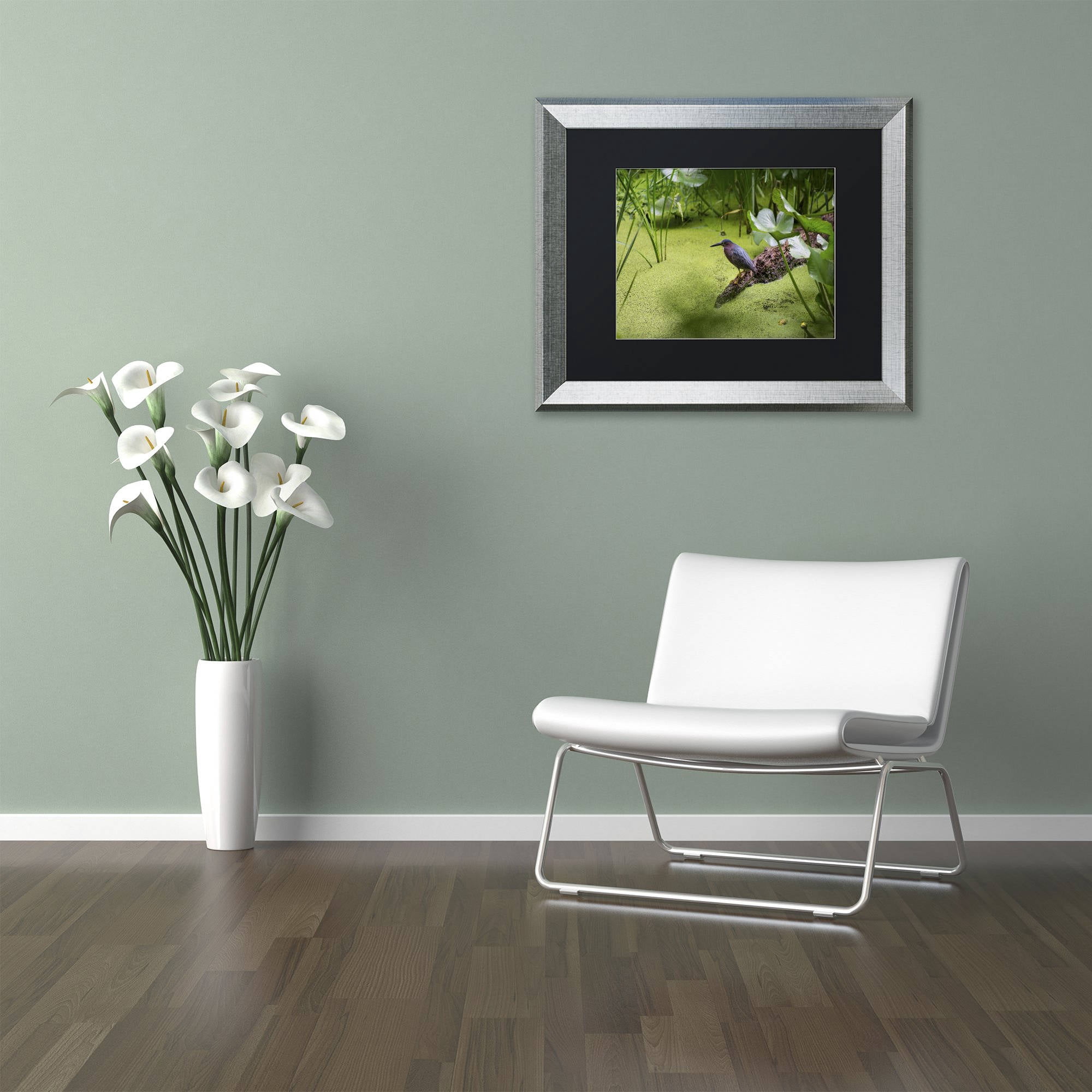 Trademark Fine Art "Green Heron" Canvas Art by Kurt Shaffer, Black Matte, Silver Frame