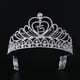 thumbnail image 4 of Tiara de cristal con diamantes de imitación para fiesta de cumpleaños, corona para quinceañeras (rosa), 4 of 5