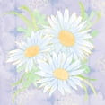 thumbnail image 2 of Mark, Leslie 15x15 White Modern Wood Framed Museum Art Print Titled - Daisy Patch Serenity II, 2 of 4