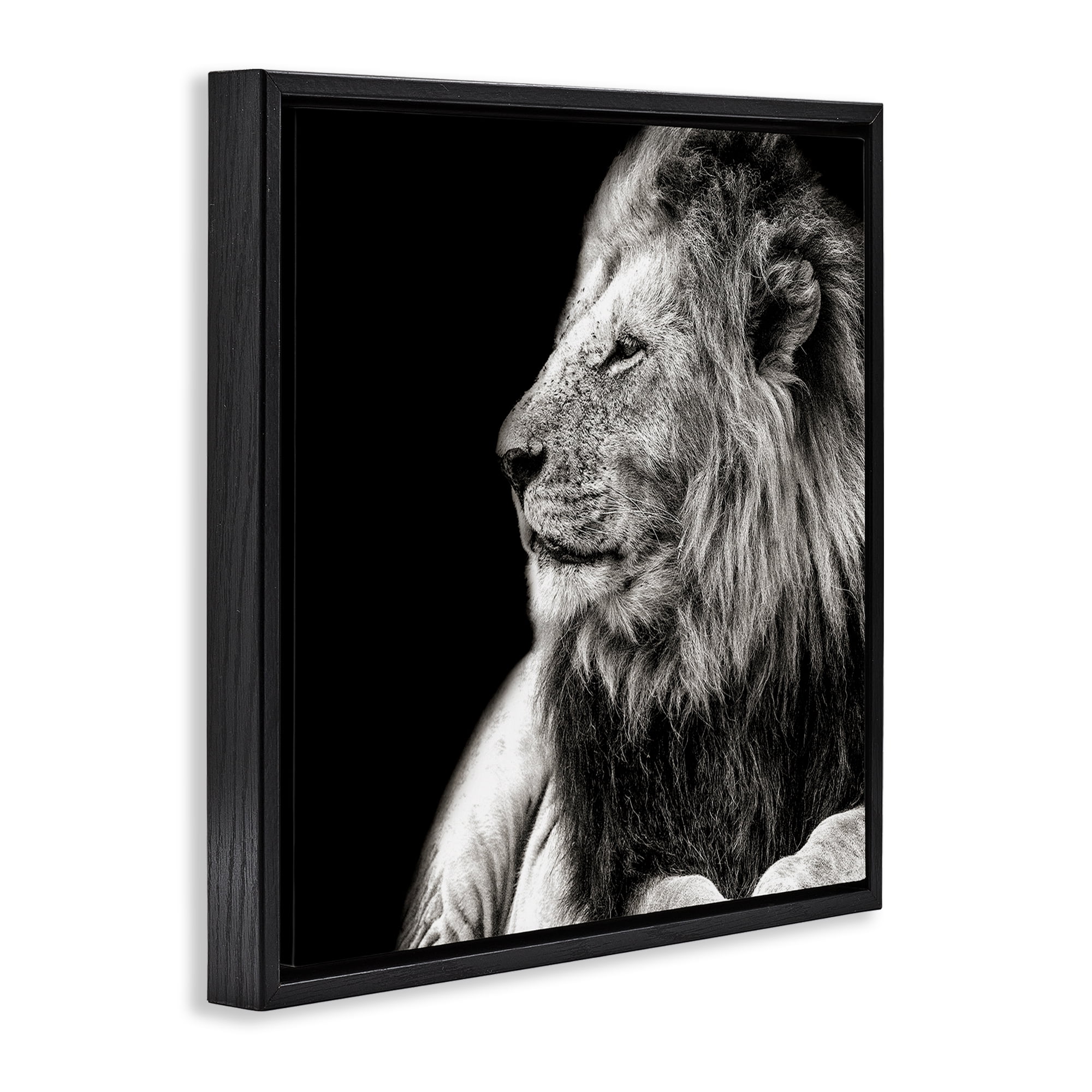 Stupell Industries Lion Portrait on Black Animals Photography Black Floater Framed Canvas Art Print Wall Art, 18 x 18
