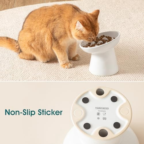 Ceramic Slow Feeder Cat Bowl, 6.25 Inch Elevated Cat Slow Feeder Bowl, Anti Vomiting for Dry and Wet Food, White